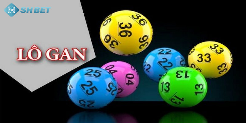 Banner www.vncnec.com.vn