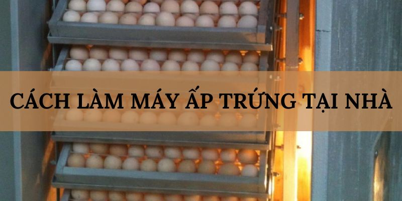 Banner www.vncnec.com.vn