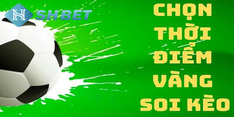 Banner www.vncnec.com.vn