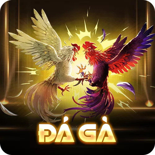 Banner www.vncnec.com.vn