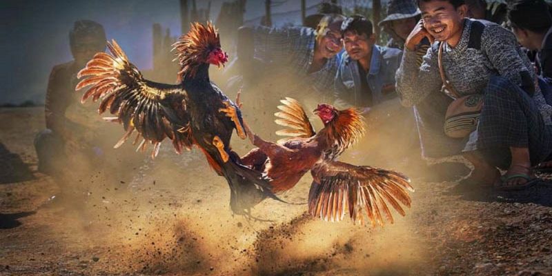 Banner www.vncnec.com.vn