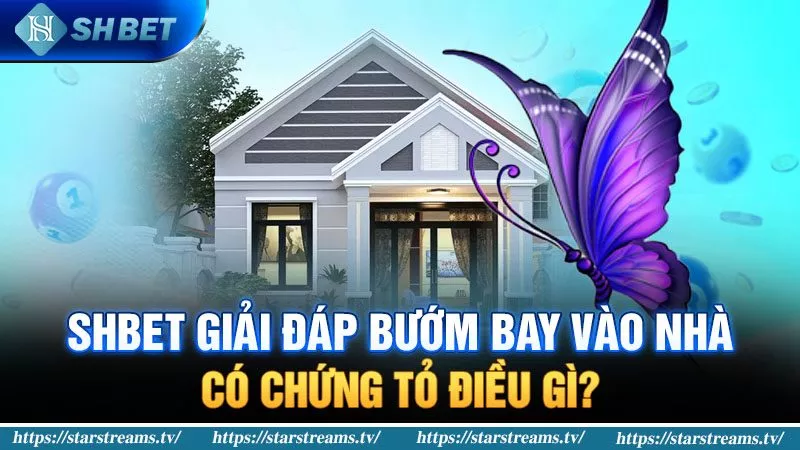 Banner www.vncnec.com.vn