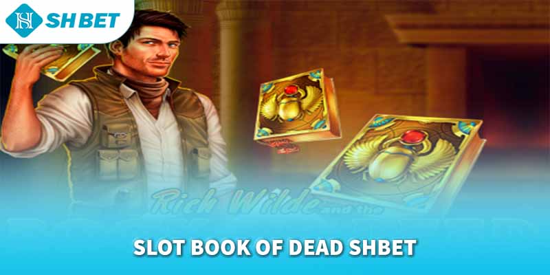 Banner www.vncnec.com.vn