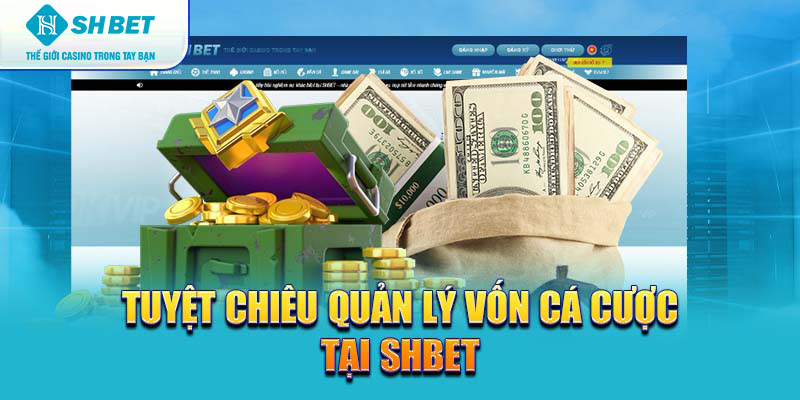 Banner www.vncnec.com.vn